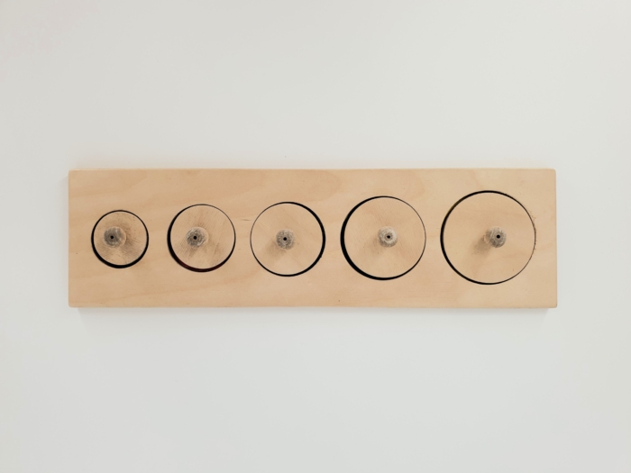 Pirmoji Montessori dėlionė 5in1 - Image 2